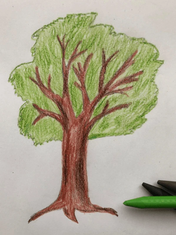 Rysunek Drzewa na Dzień Drzewa!